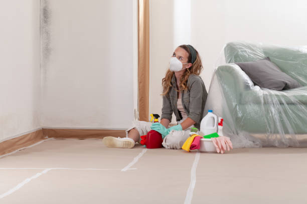Reliable Hvac And Air Duct Mold Remediation contractor in Paris, TN by 24 Hour Mold Removal